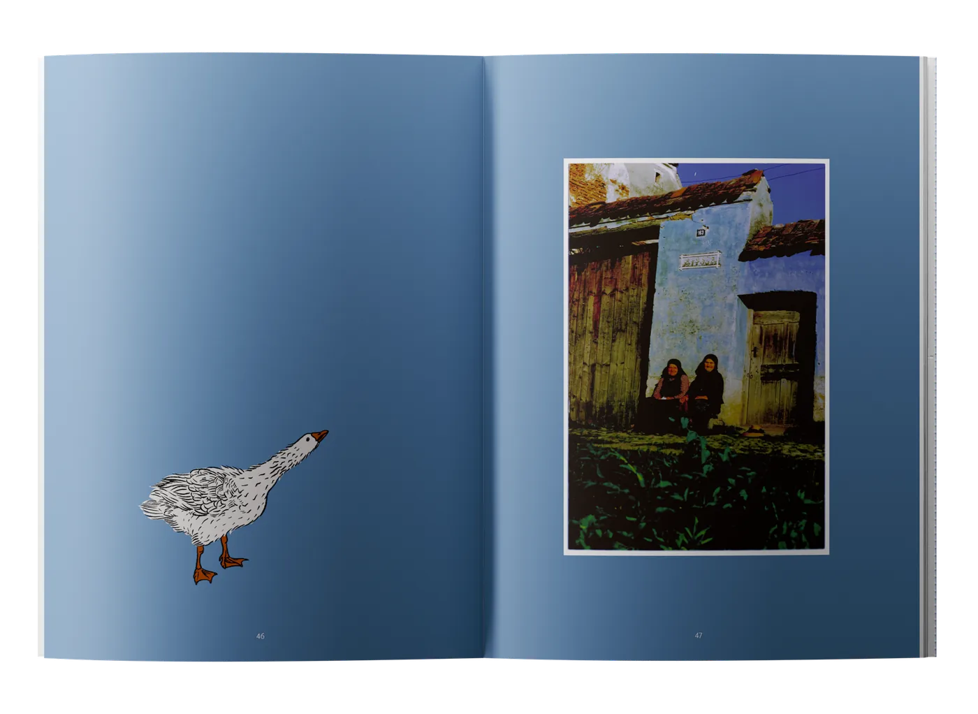An open spread from the Viscri book: a drawn goose on a blue field facing a photograph of two children by a village house